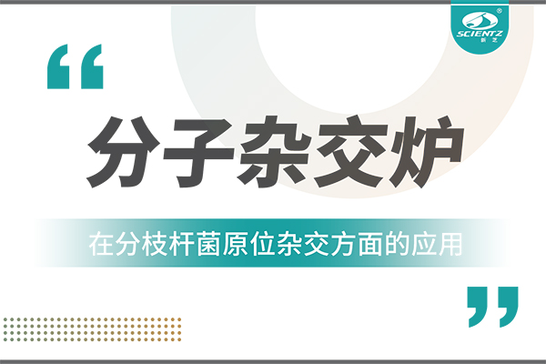 分子雜交爐在分枝桿菌原位雜交方面的應(yīng)用